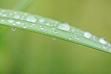 《神力科莎：竞速》全新GT2 DLC 以及各种捆绑DLC上线